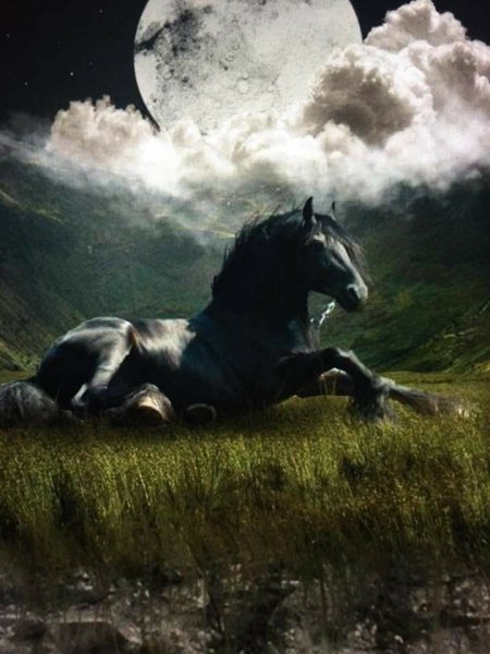 Лунный конь