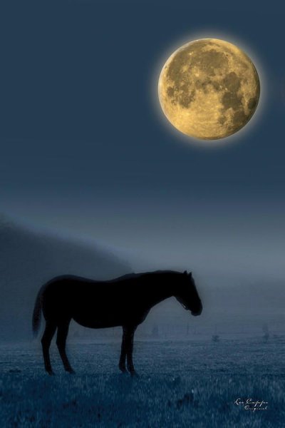 Лунный конь