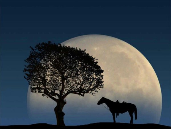 Лошадь на фоне Луны