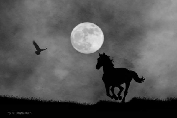 Лошадь и Луна