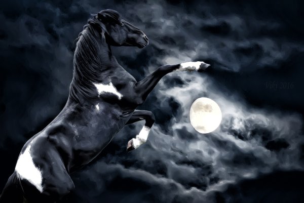 Лошадь и Луна