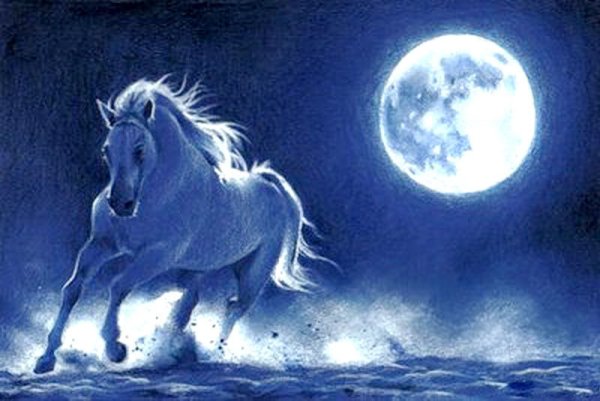 Спокойной ночи лошади