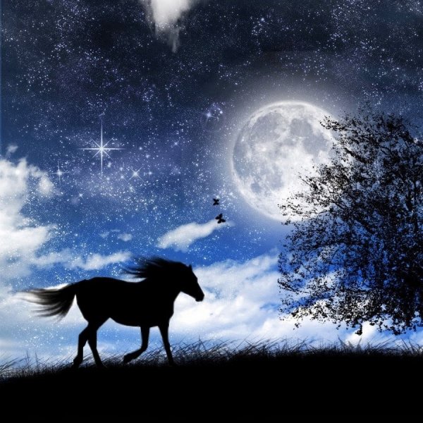 Ночь Луна лошади