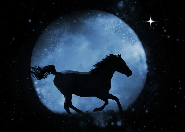 Лошадь и Луна
