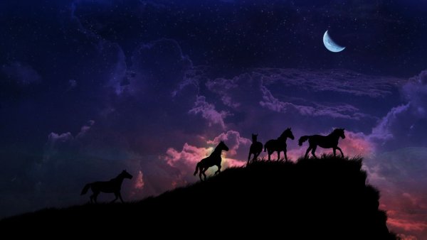 Ярко звёзд мерцанье Никитин