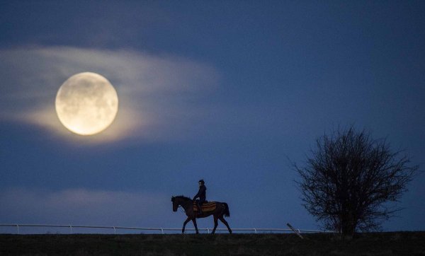 Луна в степи