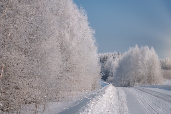 Заснеженная дорога