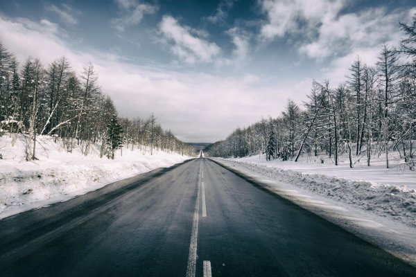Заснеженная дорога