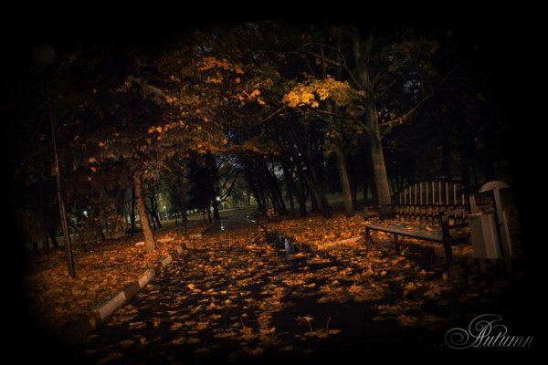 Мрачный осенний парк