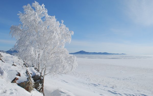 Заснеженная равнина