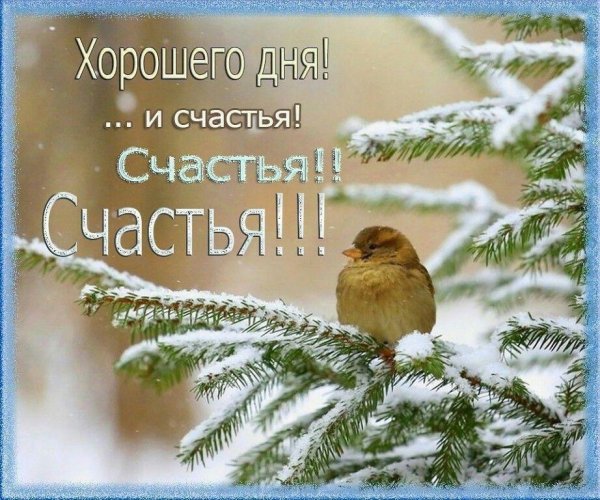 Добрый день снег