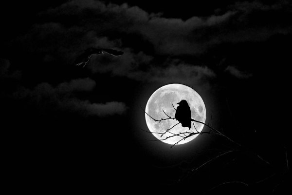 Темная Луна