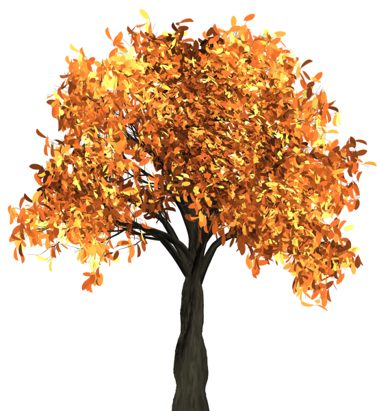 Листики осенних деревьев