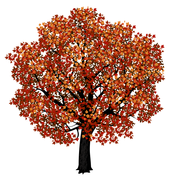 Клен дерево вектор