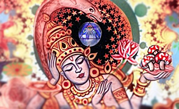 Луна Ведическая астрология