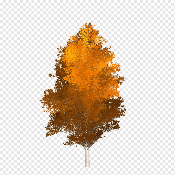 Осеннее дерево для детей