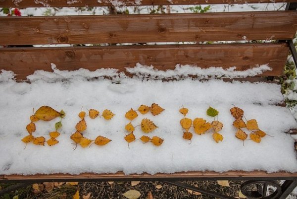 Первый выпавший снег