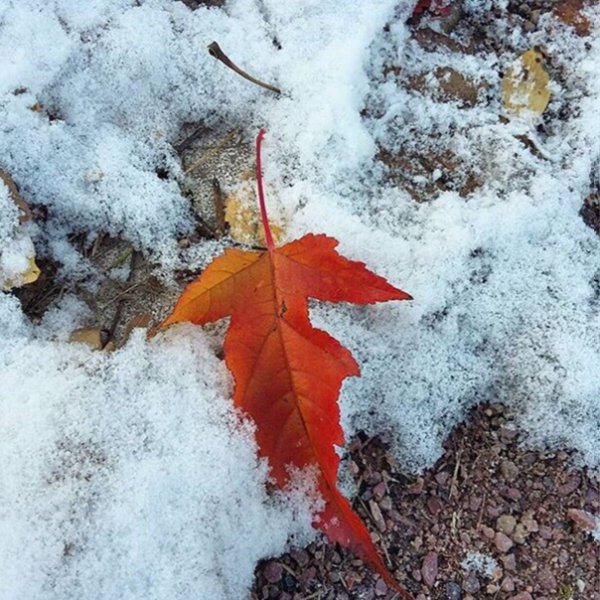 Первый чистый снег