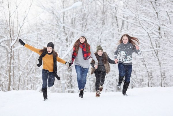 Друзья зимой