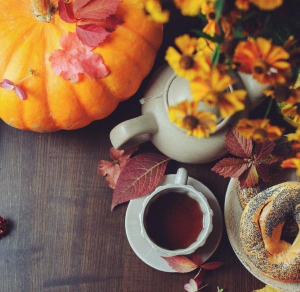 Осень чай