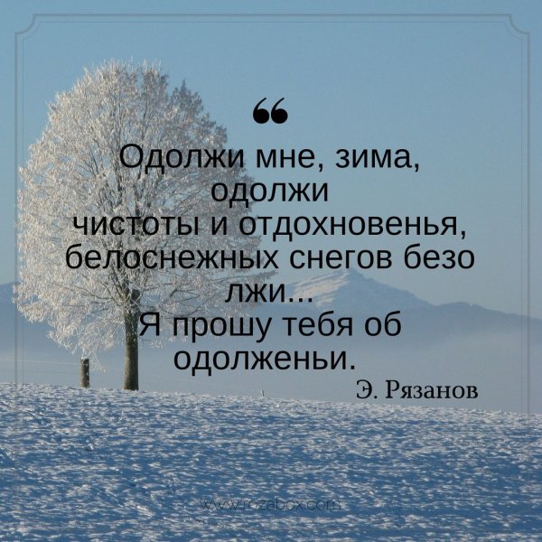 Цитаты про ЗЗ