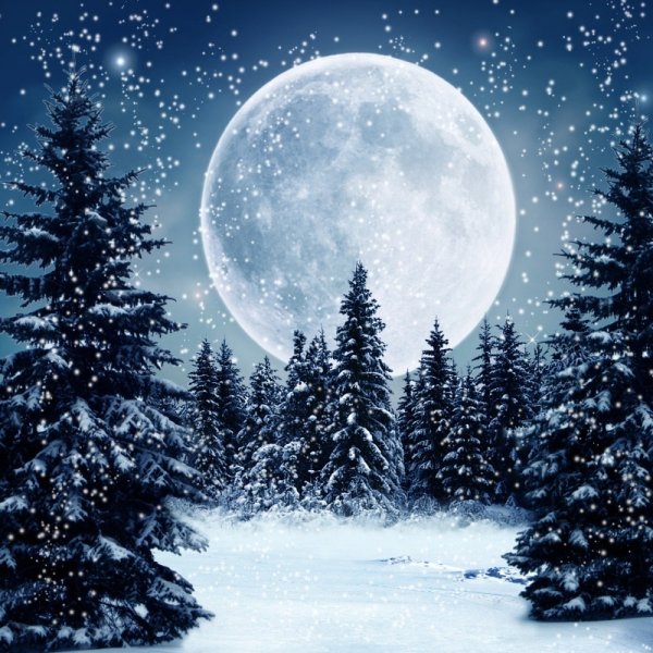 "Kustom Krafts" 9875 "Winter Moon / зимняя Луна"