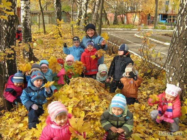Осенняя прогулка в ДОУ
