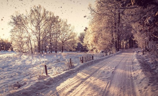 Зима дорога