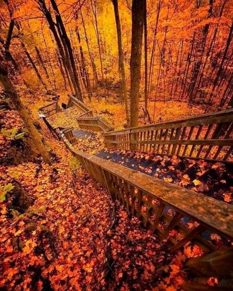 Роскошная осень