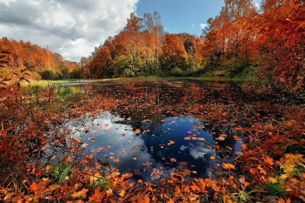 Осень озеро