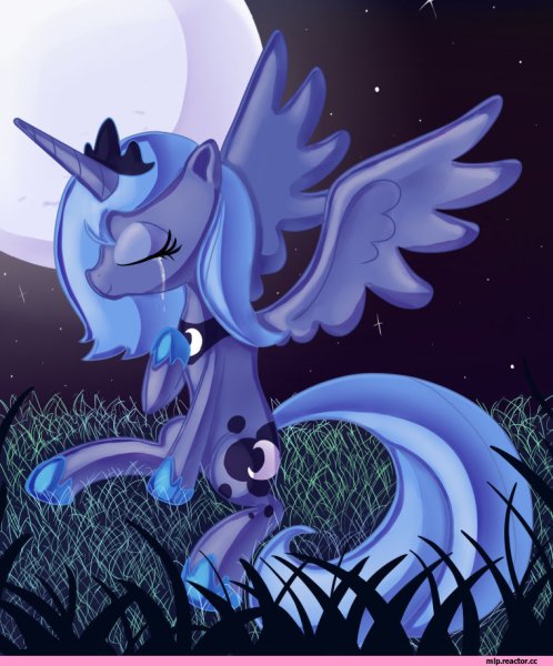 Луна мой маленький пони: Дружба – это чудо