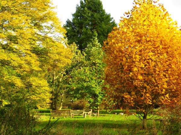 Осенний сад
