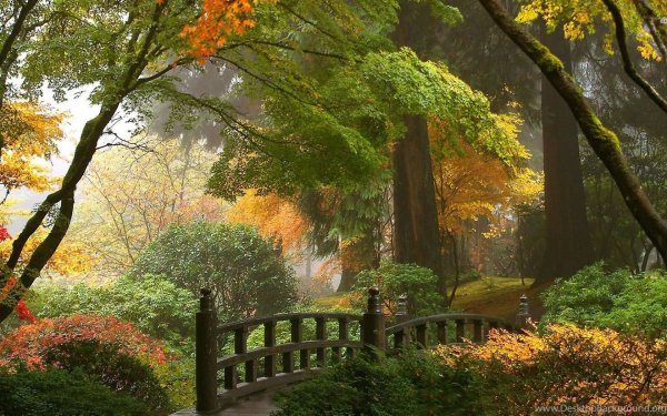 Осенний сад