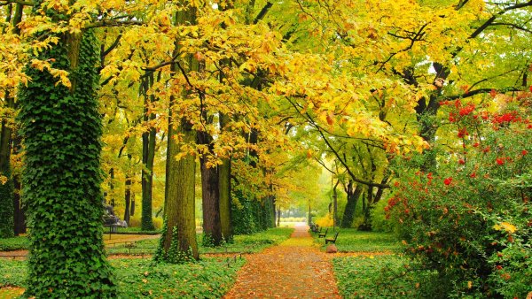 Ранняя осень