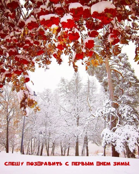 С началом зимы