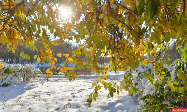 Встреча осени и зимы