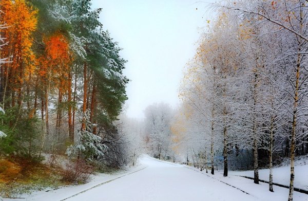 Встреча осени и зимы