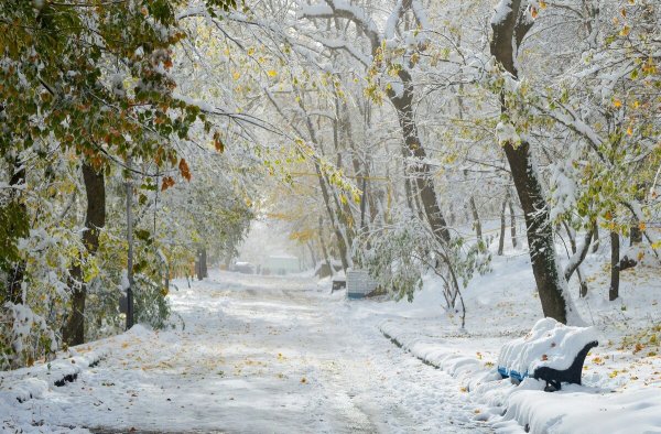 Железноводск в ноябре фото