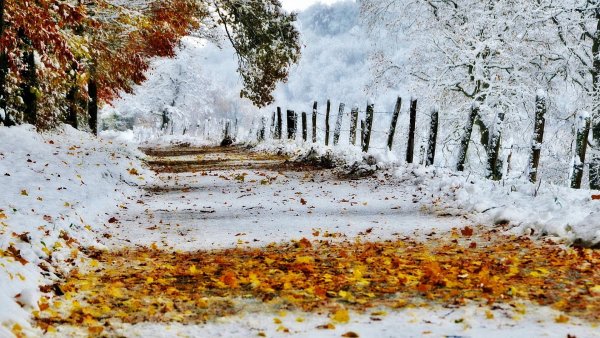 Осень снег