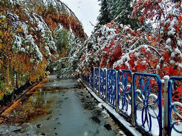 Встреча осени и зимы