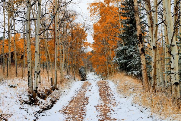 Снег осенью