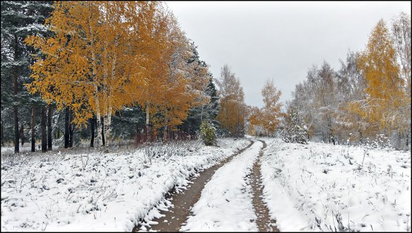 Между осенью и зимой