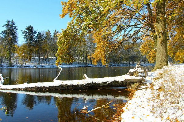 Зима и осень вместе