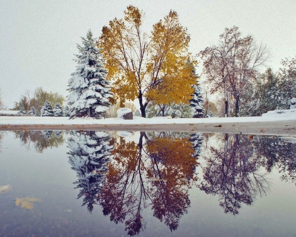 Встреча осени с зимой