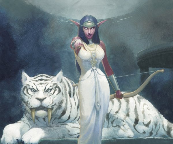 Жрица Луны варкрафт