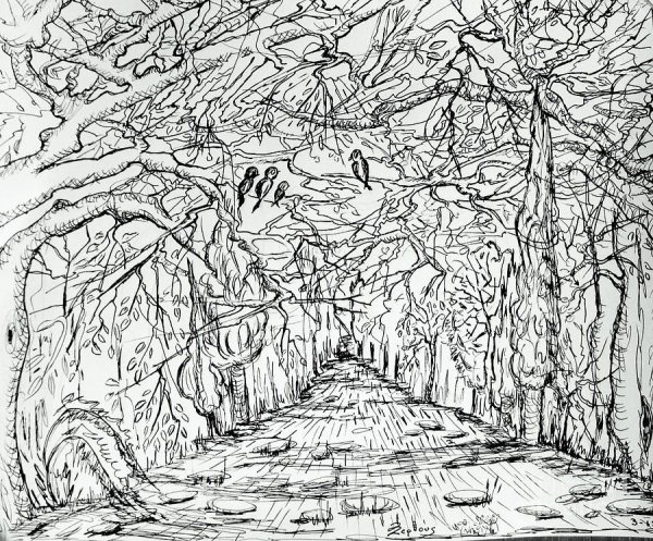 Лес рисунок