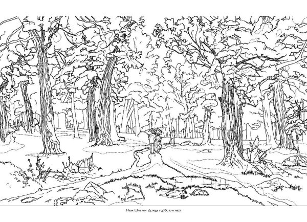 Раскраска осенний лес