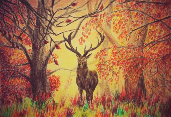 Лес цветными карандашами