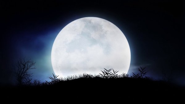 Полнолуние полночь