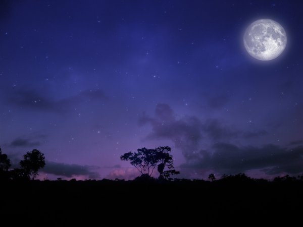 Ночь полночь